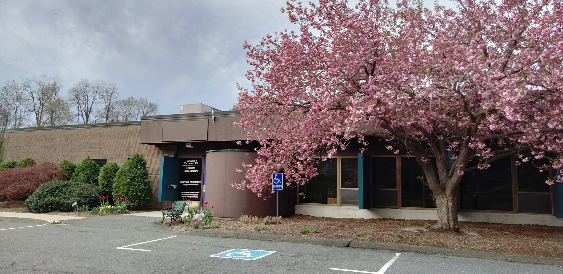 Cosmetic Dentist Florence